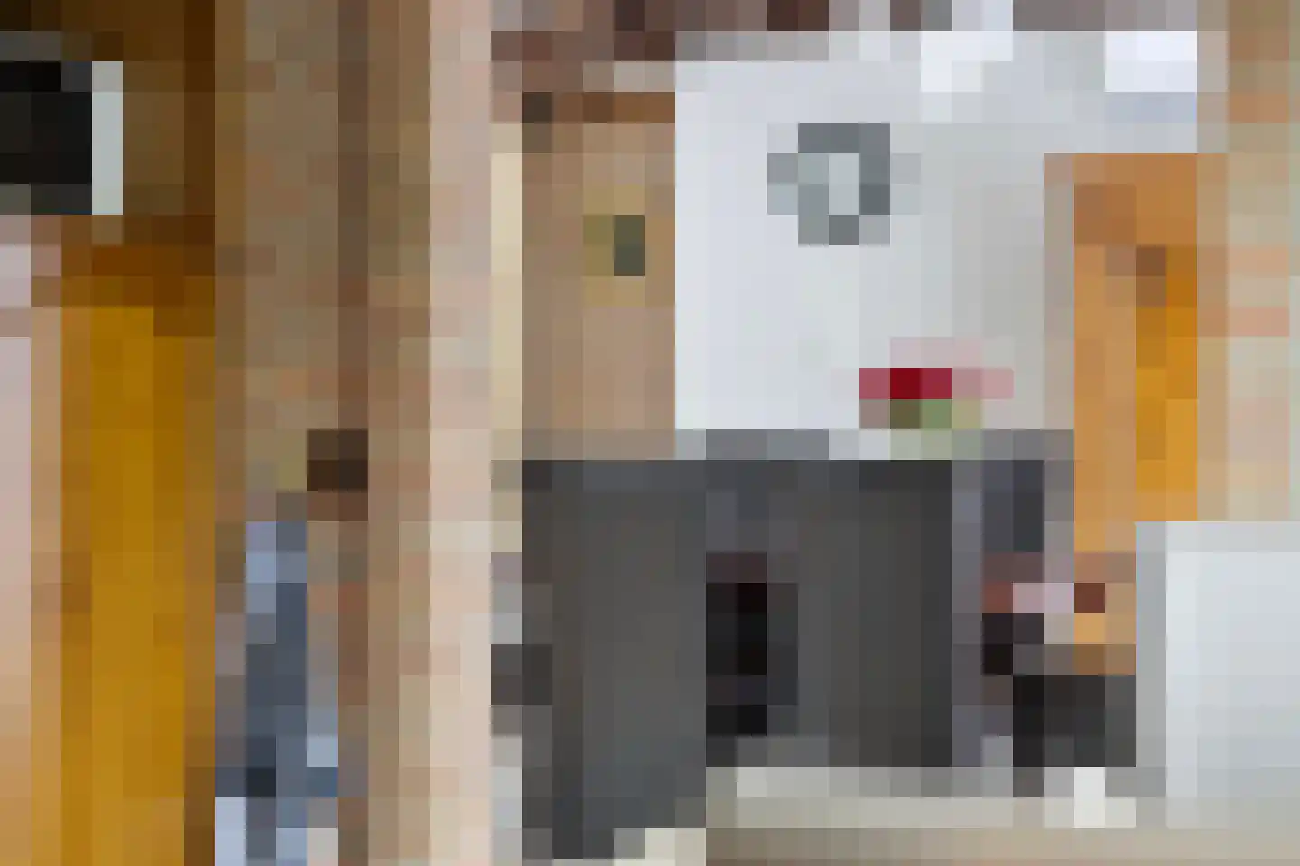 het Gement 43 Alphen thumbnail 14