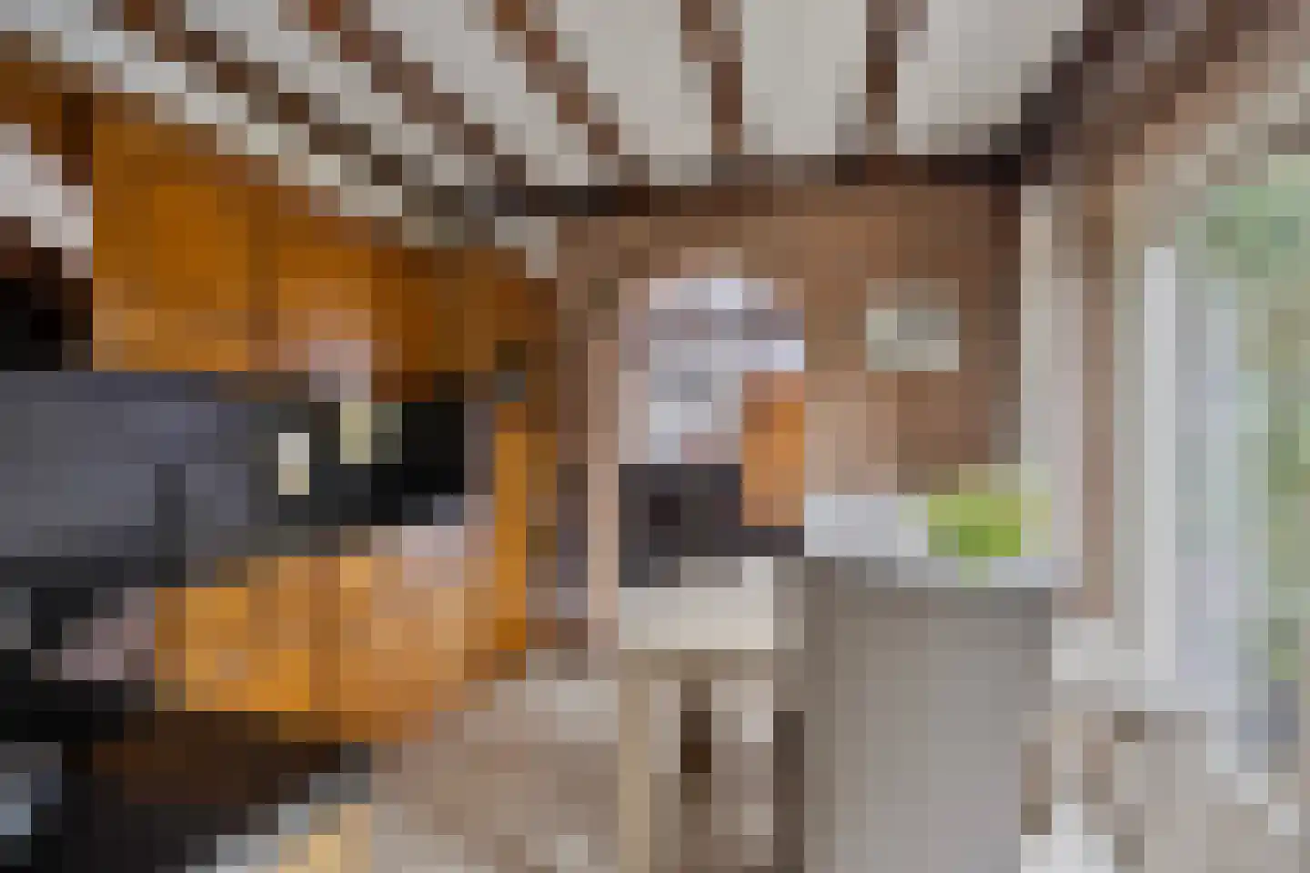 het Gement 43 Alphen thumbnail 15