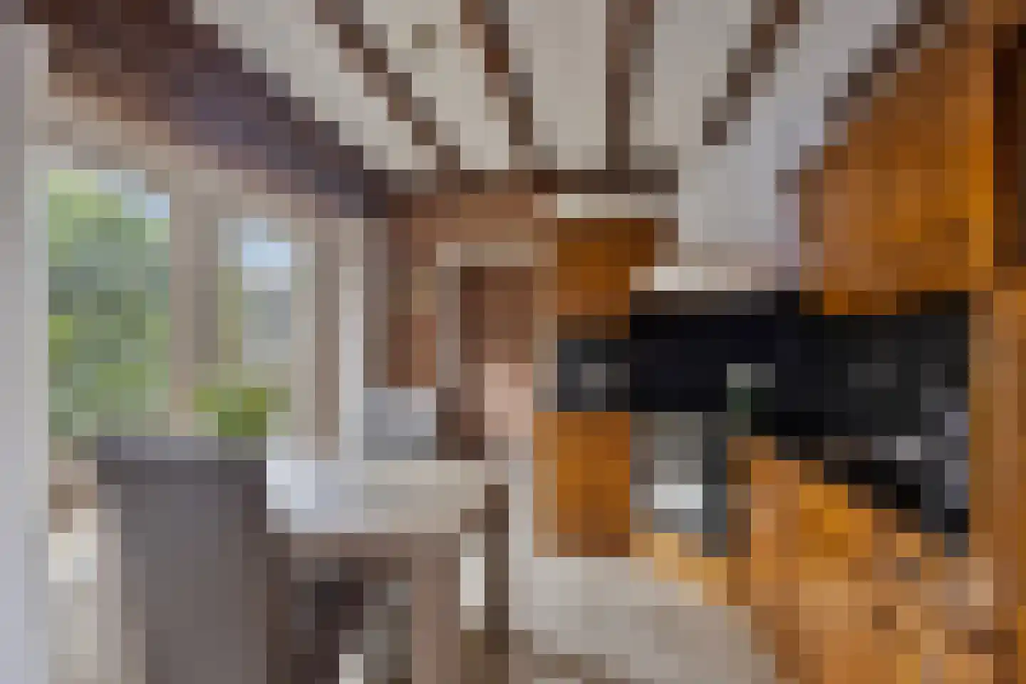 het Gement 43 Alphen thumbnail 16