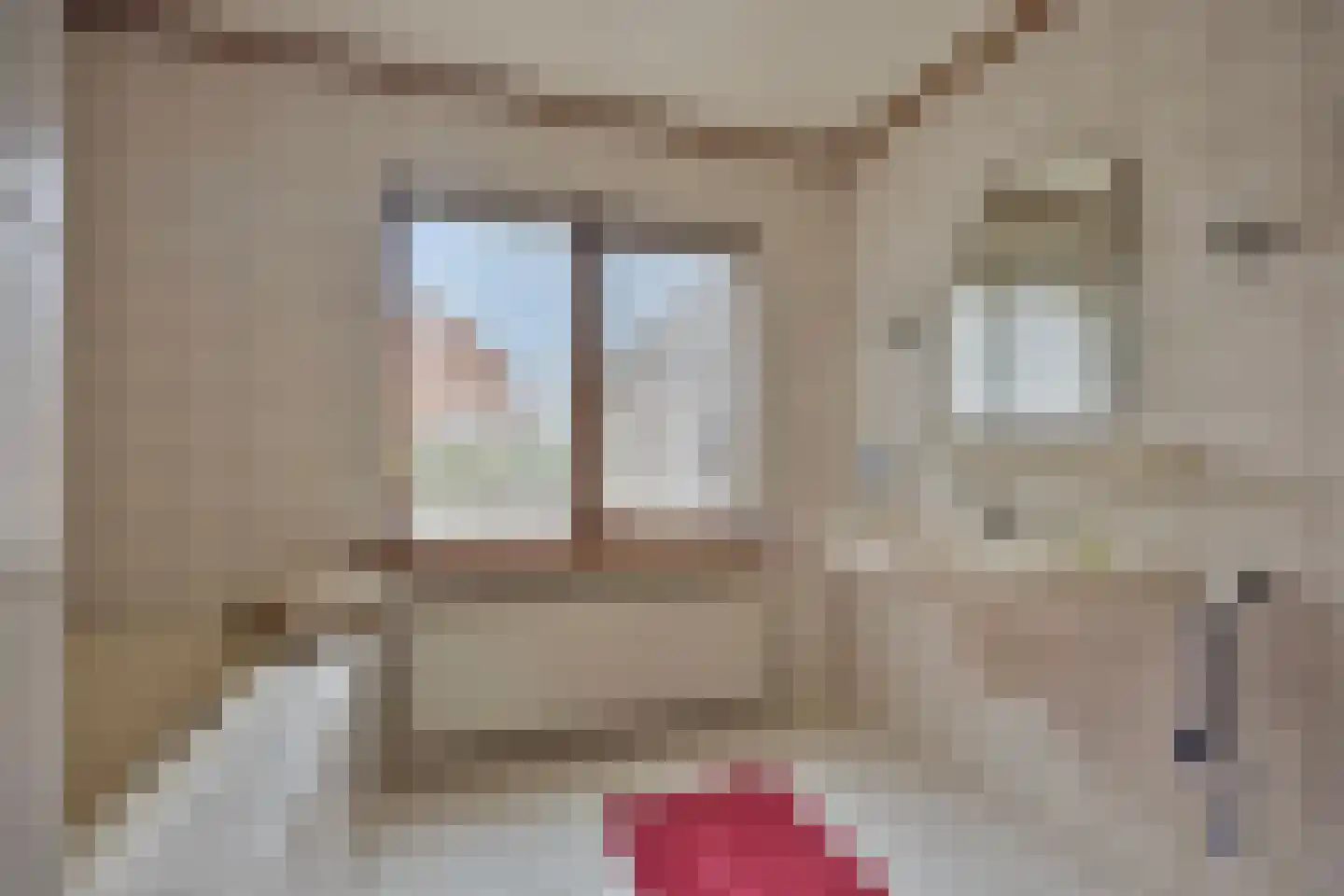 het Gement 43 Alphen thumbnail 22