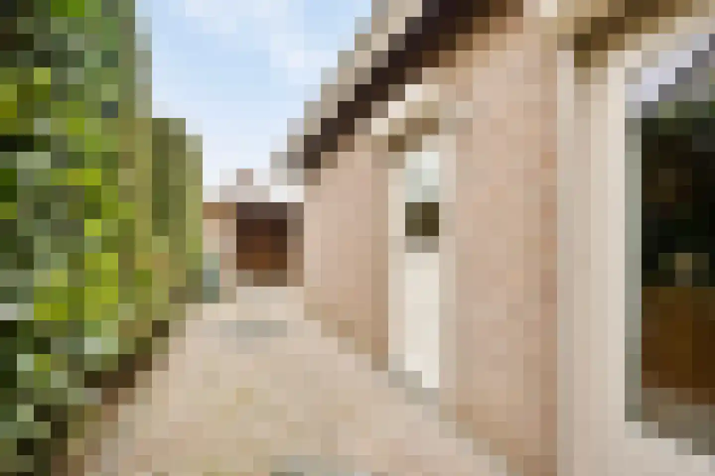 het Gement 43 Alphen thumbnail 35