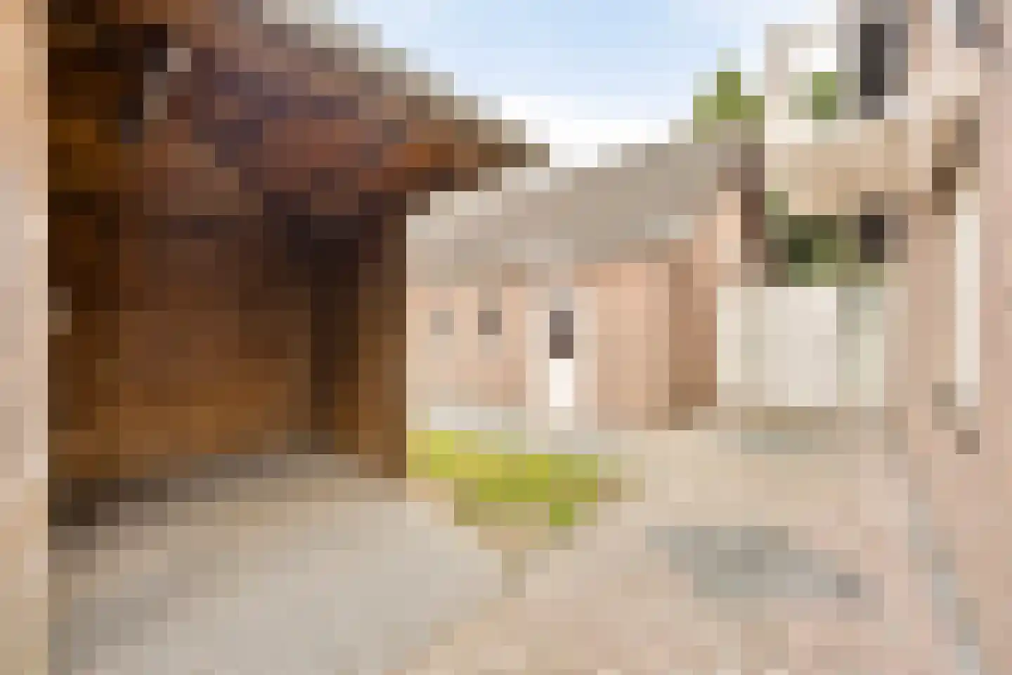 het Gement 43 Alphen thumbnail 36