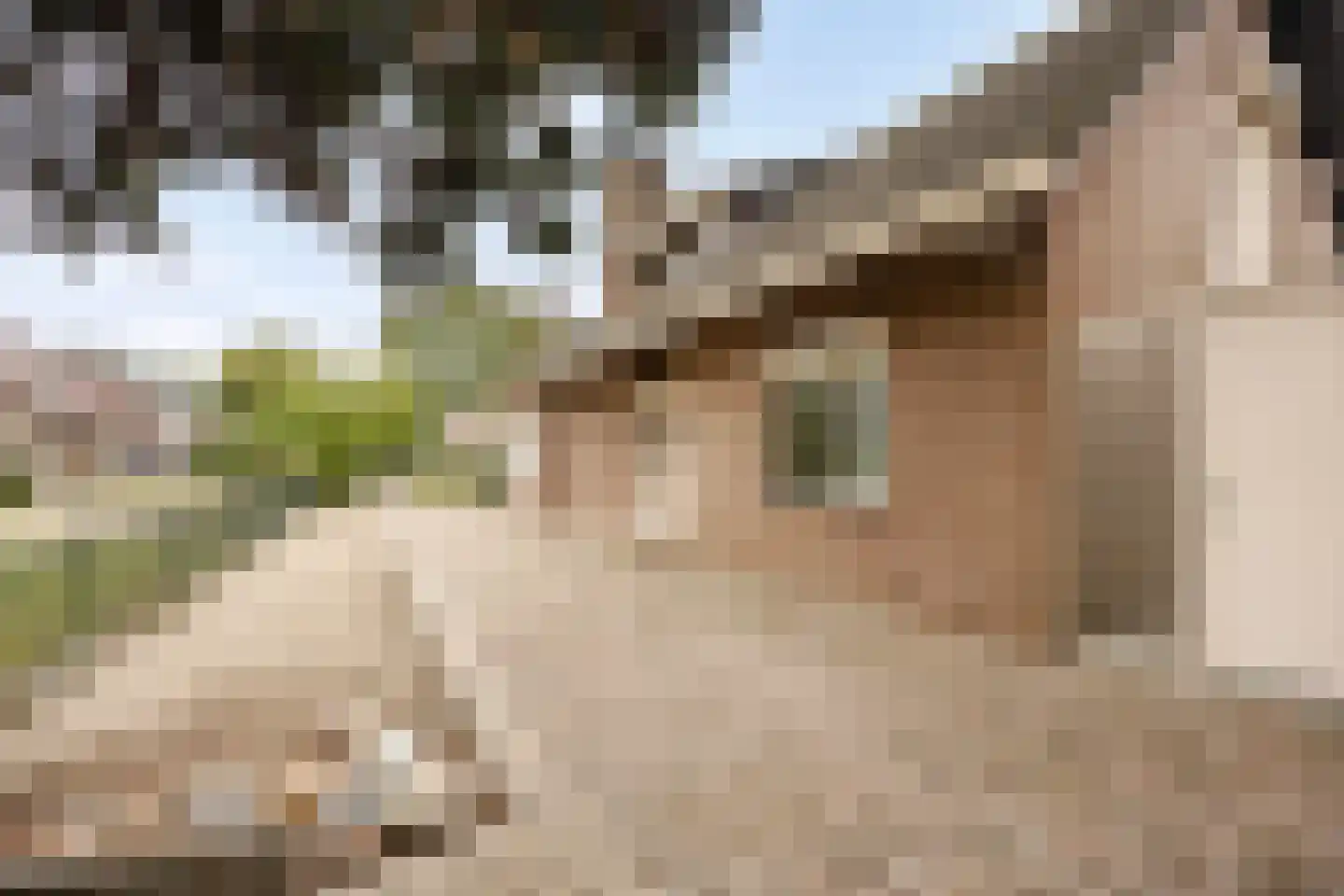 het Gement 43 Alphen thumbnail 41