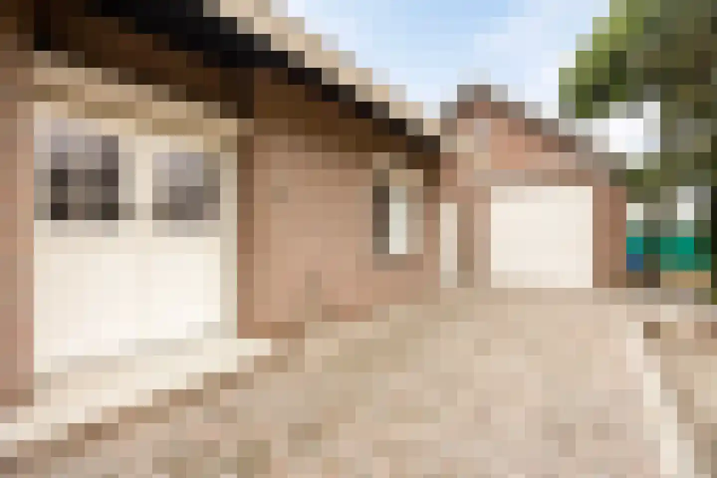 het Gement 43 Alphen thumbnail 42