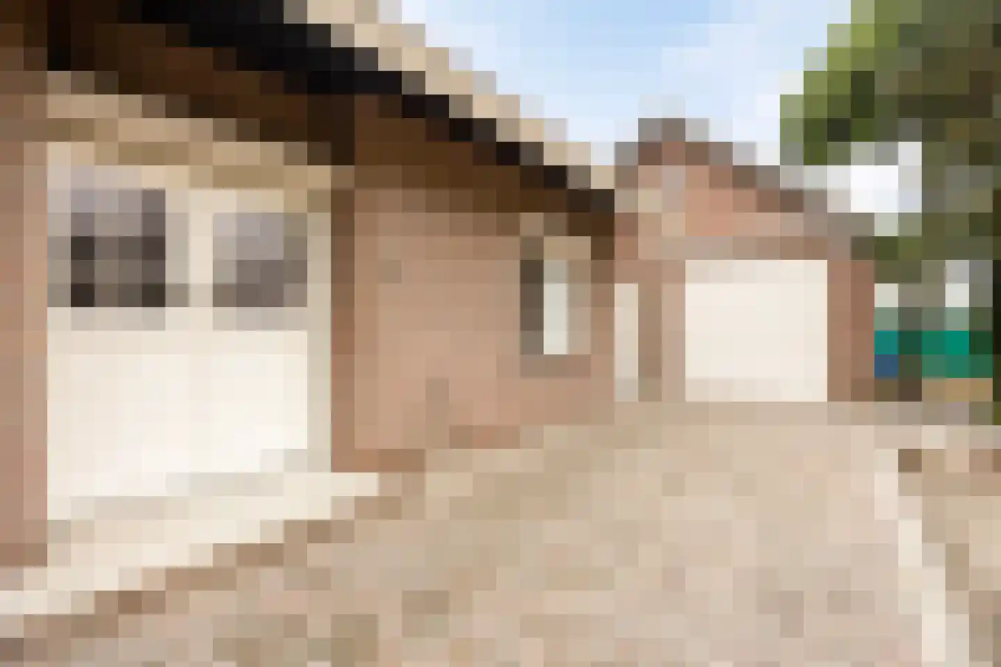 het Gement 43 Alphen thumbnail 42
