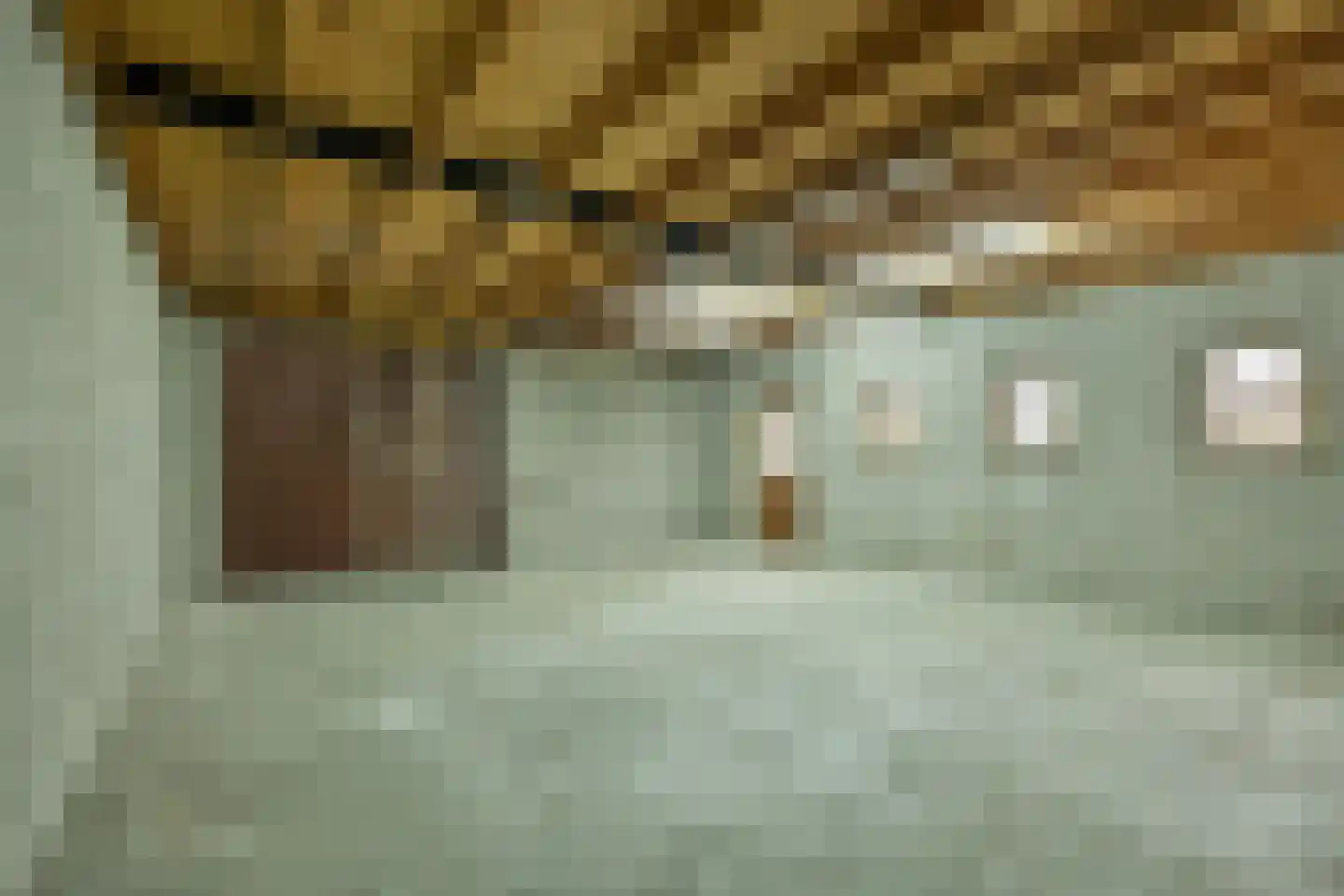 het Gement 43 Alphen thumbnail 46