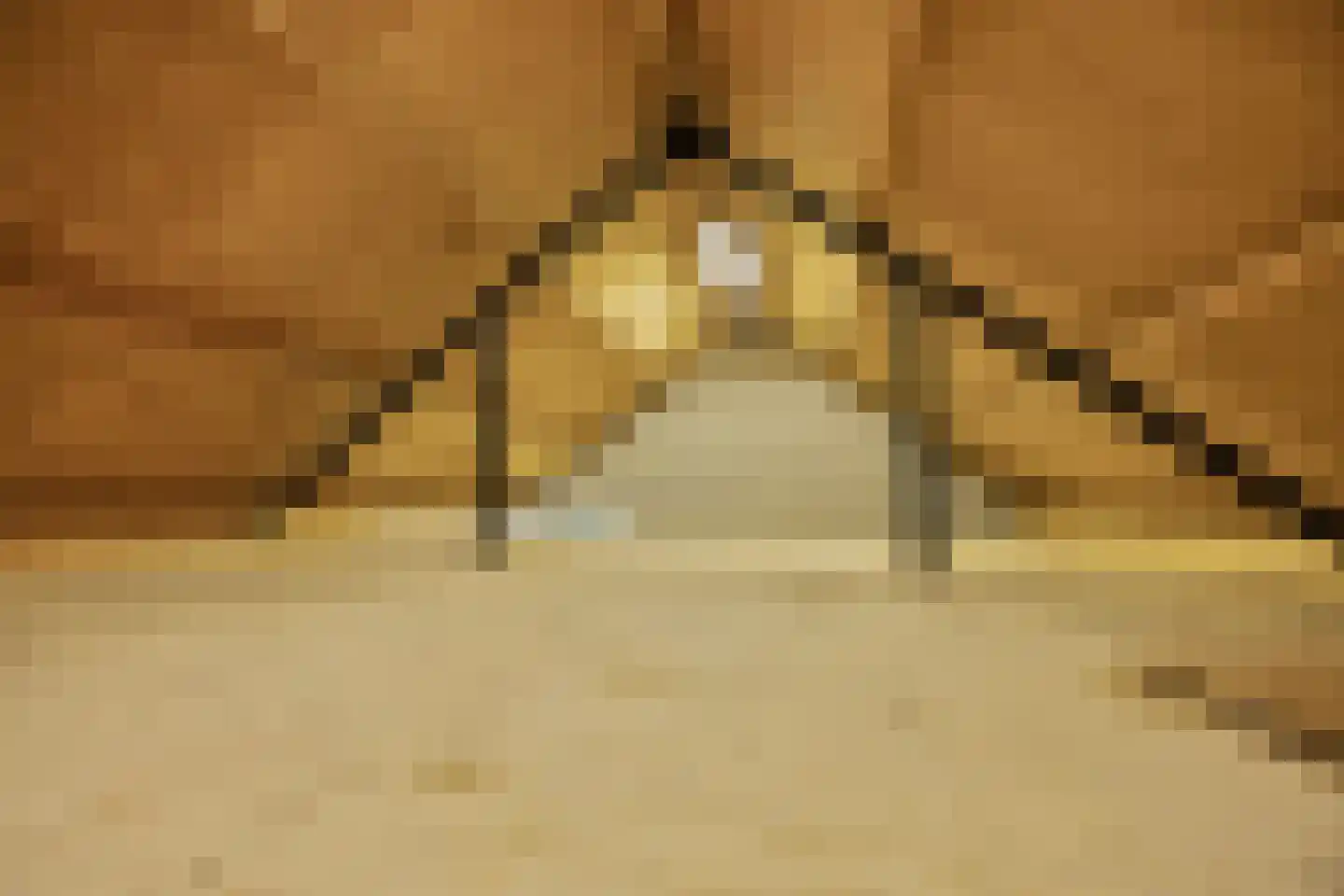 het Gement 43 Alphen thumbnail 47