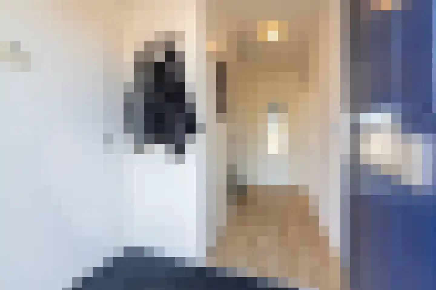 het Gement 6 Alphen thumbnail 15
