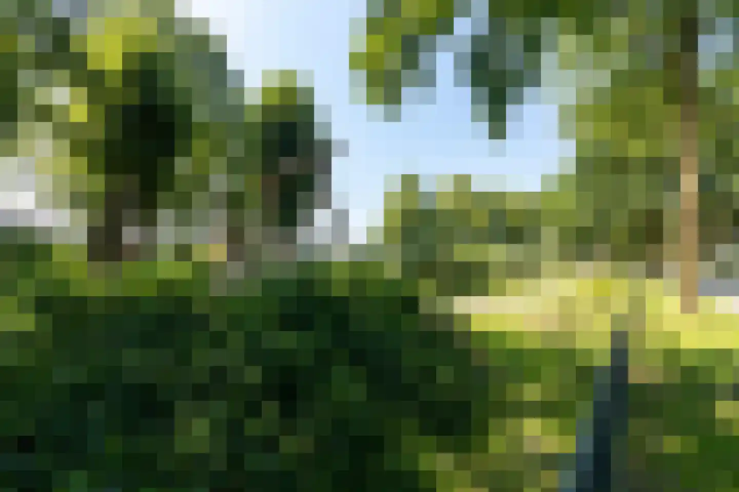 het Gement 6 Alphen thumbnail 56