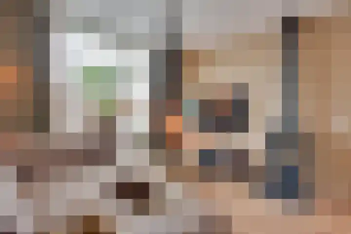 Het Gerecht 6 Sleeuwijk thumbnail 7