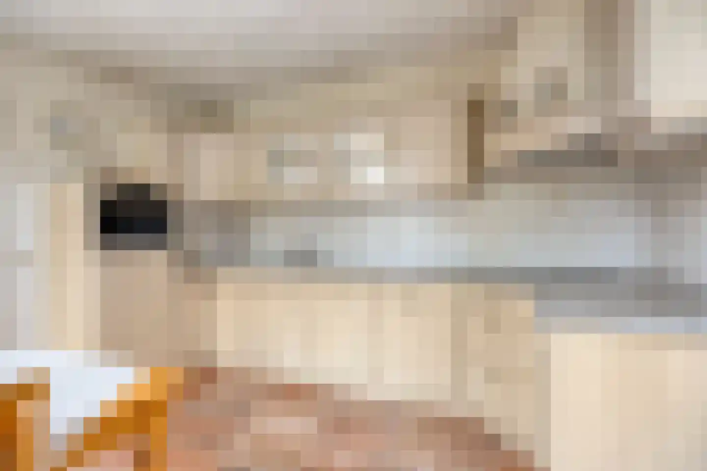 Het Gewad 2 Veldhoven thumbnail 15