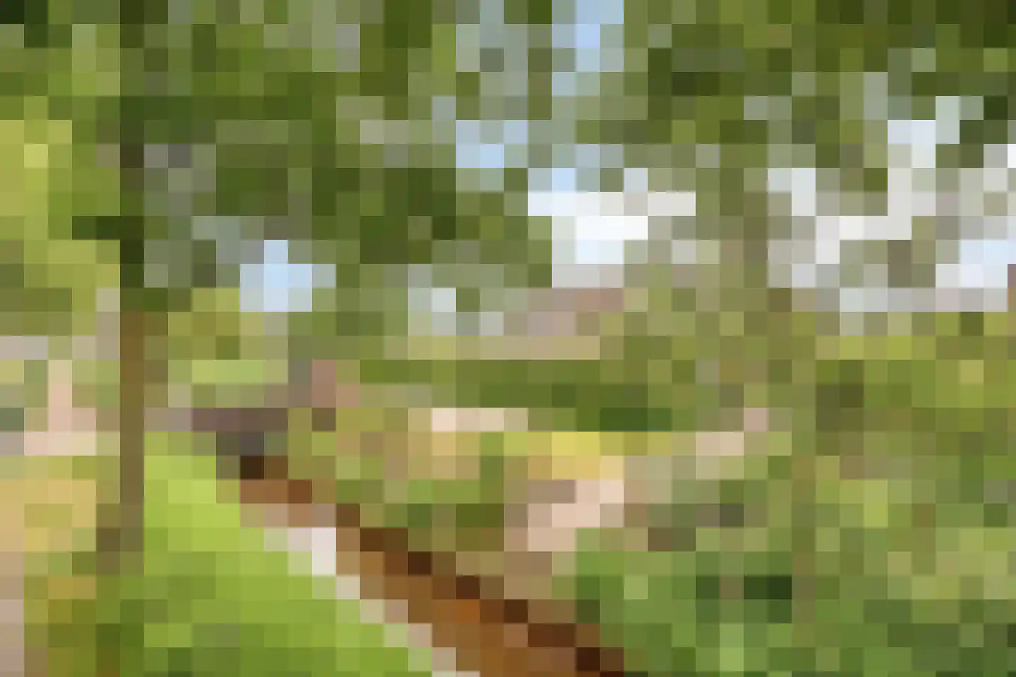 Het Gewad 2 Veldhoven thumbnail 71