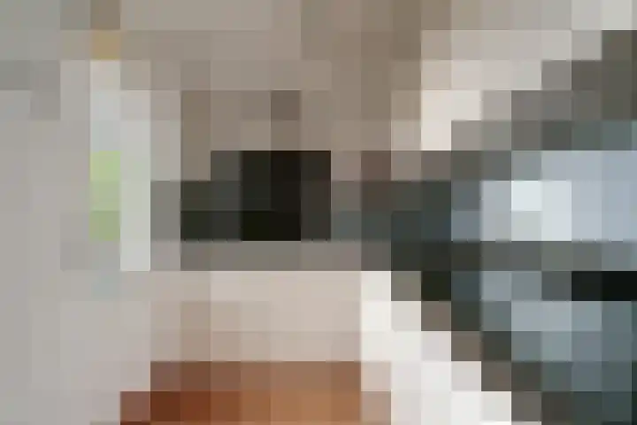 Het Gilde 24 Westervoort thumbnail 22