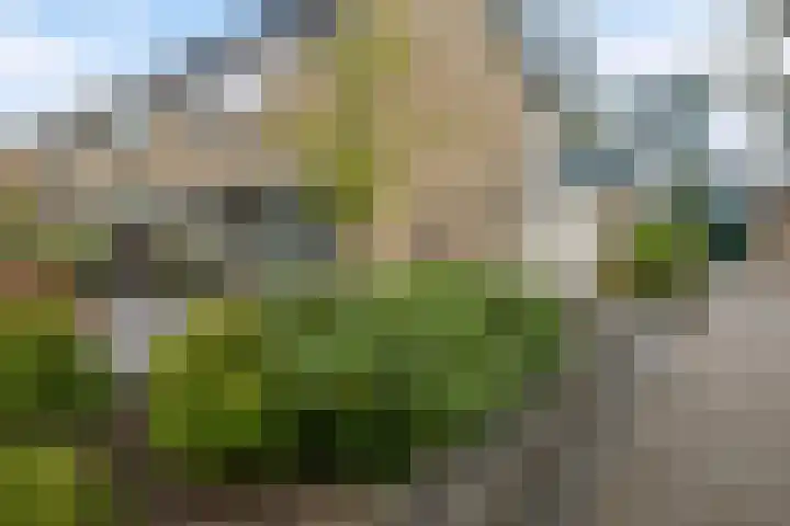 Het Gilde 24 Westervoort thumbnail 25