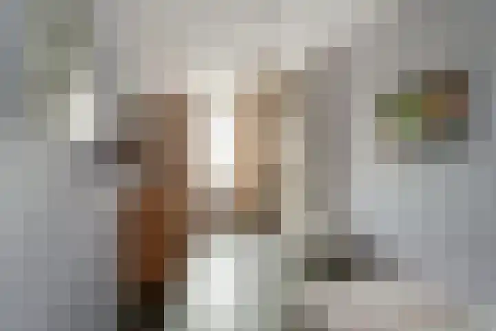 Het Gilde 24 Westervoort thumbnail 32