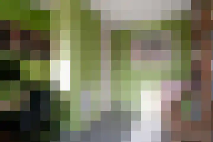 Het Gilde 24 Westervoort thumbnail 36