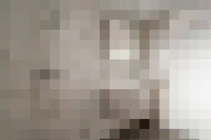 Het Gilde 24 Westervoort thumbnail 38