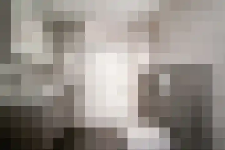 Het Gilde 24 Westervoort thumbnail 39