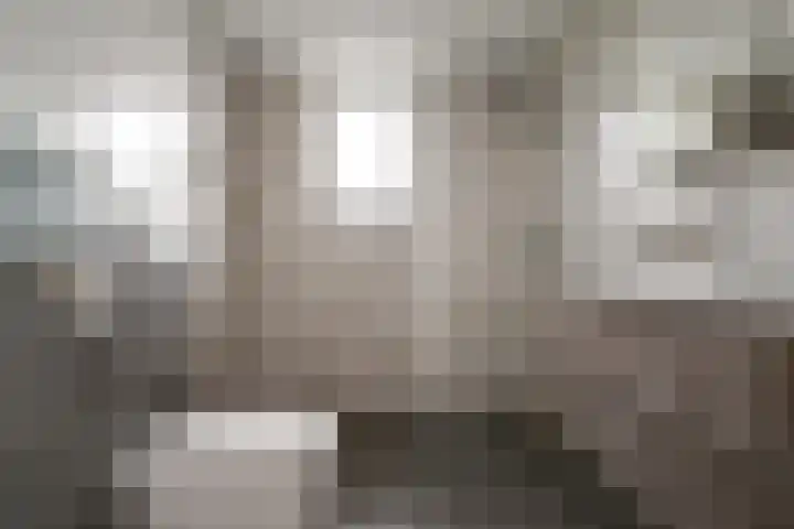 Het Gilde 24 Westervoort thumbnail 4