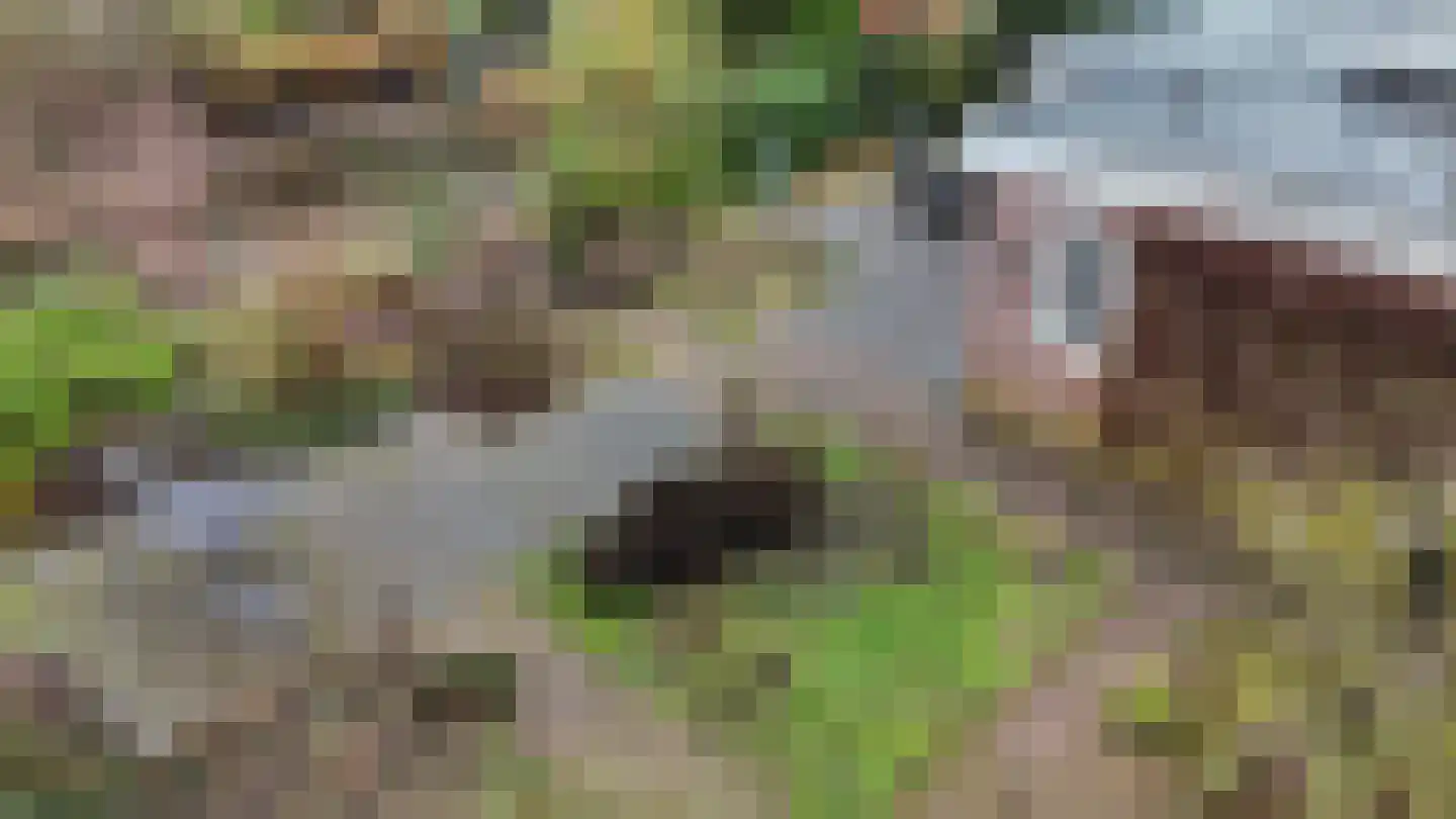 Het Gilde 24 Westervoort thumbnail 44