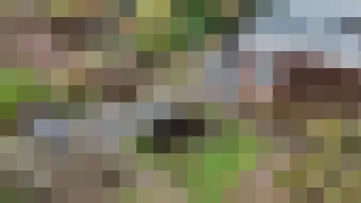Het Gilde 24 Westervoort thumbnail 44