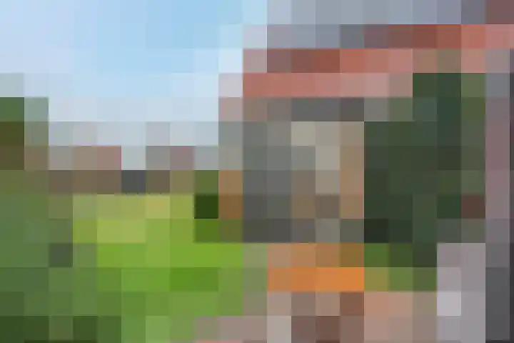 Het Gilde 24 Westervoort thumbnail 45