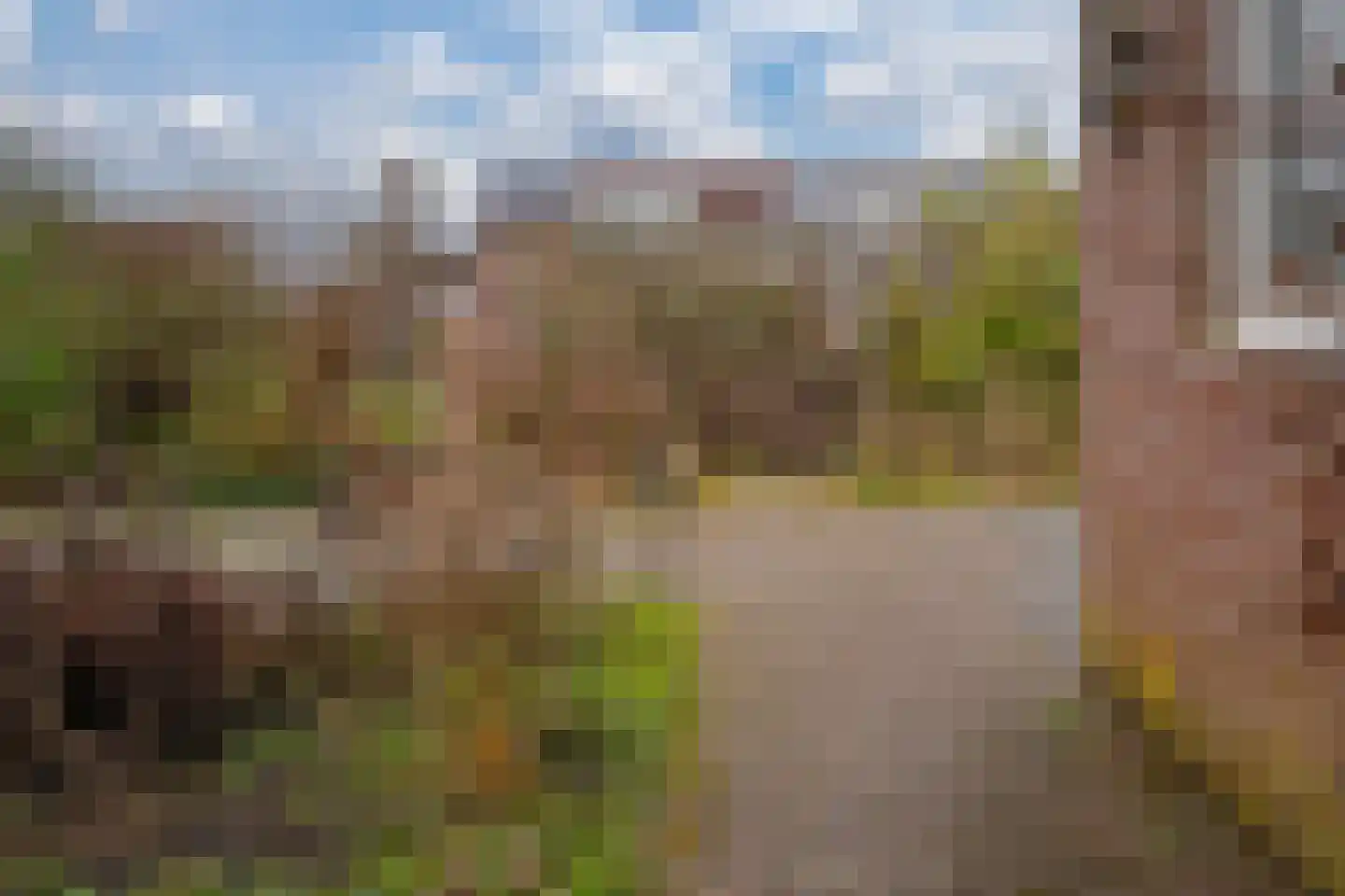Het Gilde 24 Westervoort thumbnail 46