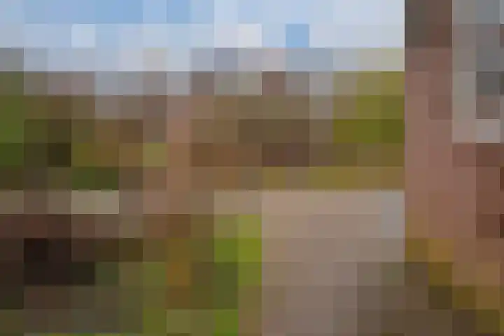 Het Gilde 24 Westervoort thumbnail 46
