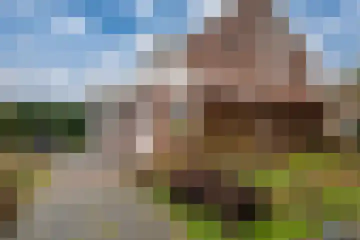 Het Gilde 24 Westervoort thumbnail 49