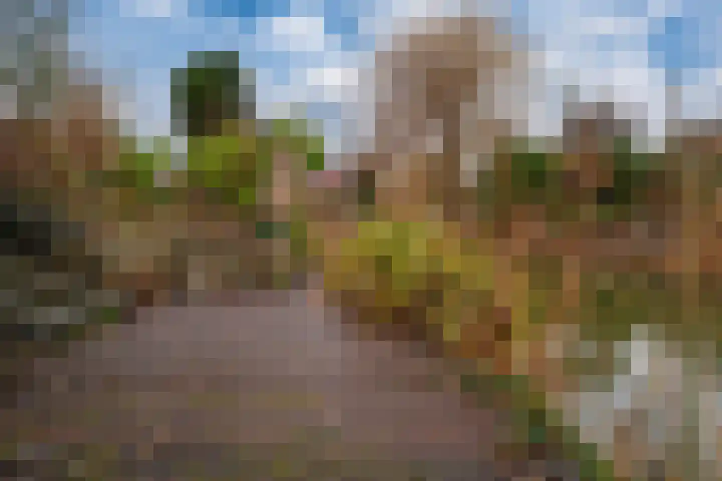 Het Gilde 24 Westervoort thumbnail 52