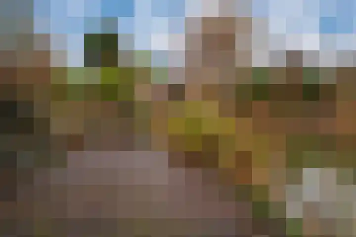Het Gilde 24 Westervoort thumbnail 52