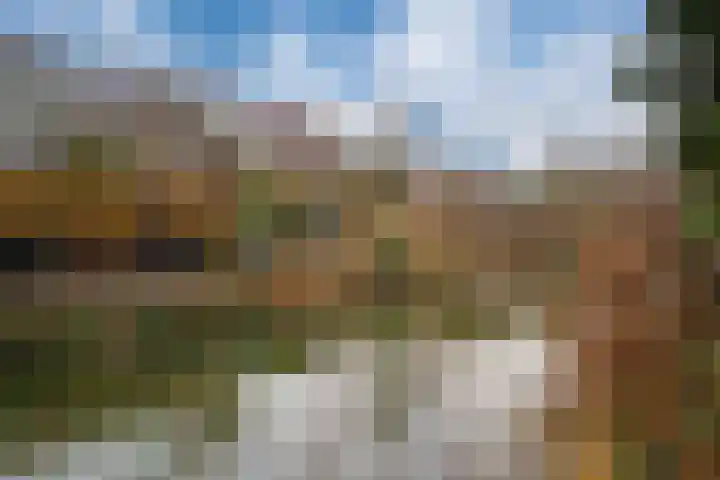Het Gilde 24 Westervoort thumbnail 54