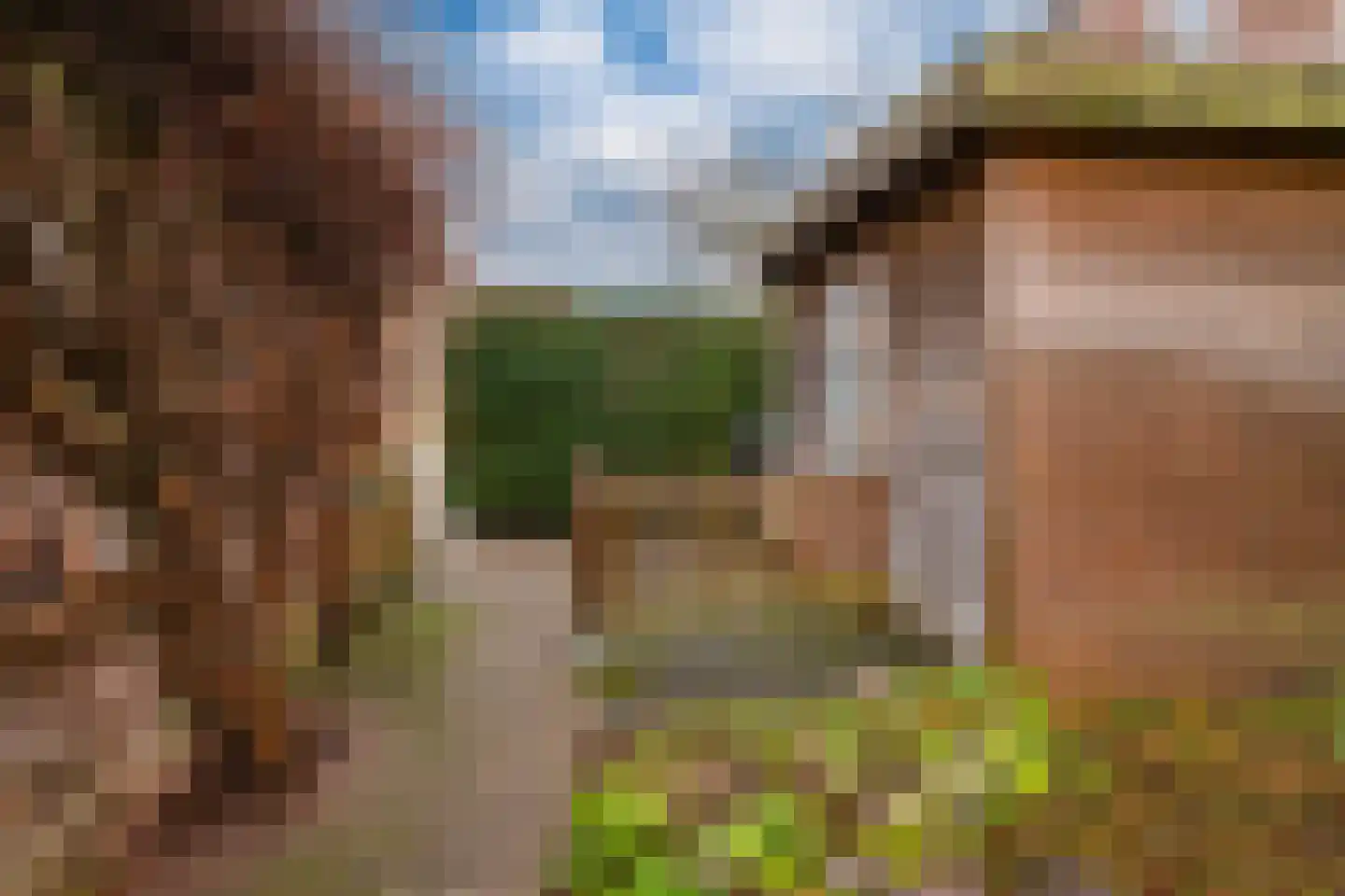 Het Gilde 24 Westervoort thumbnail 55