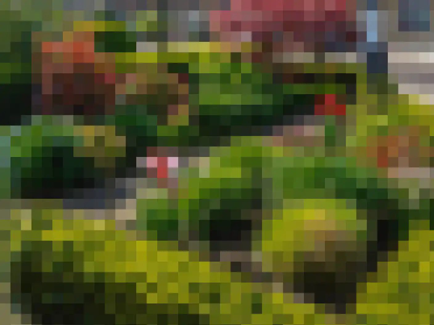 Het Gilde 24 Westervoort thumbnail 56