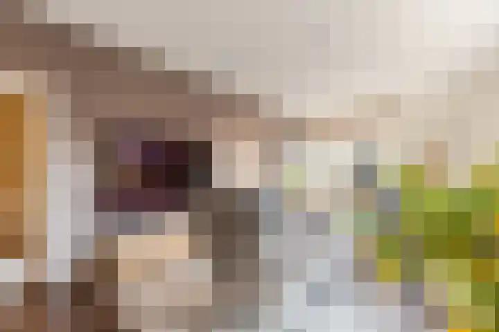 Het Gilde 24 Westervoort thumbnail 65