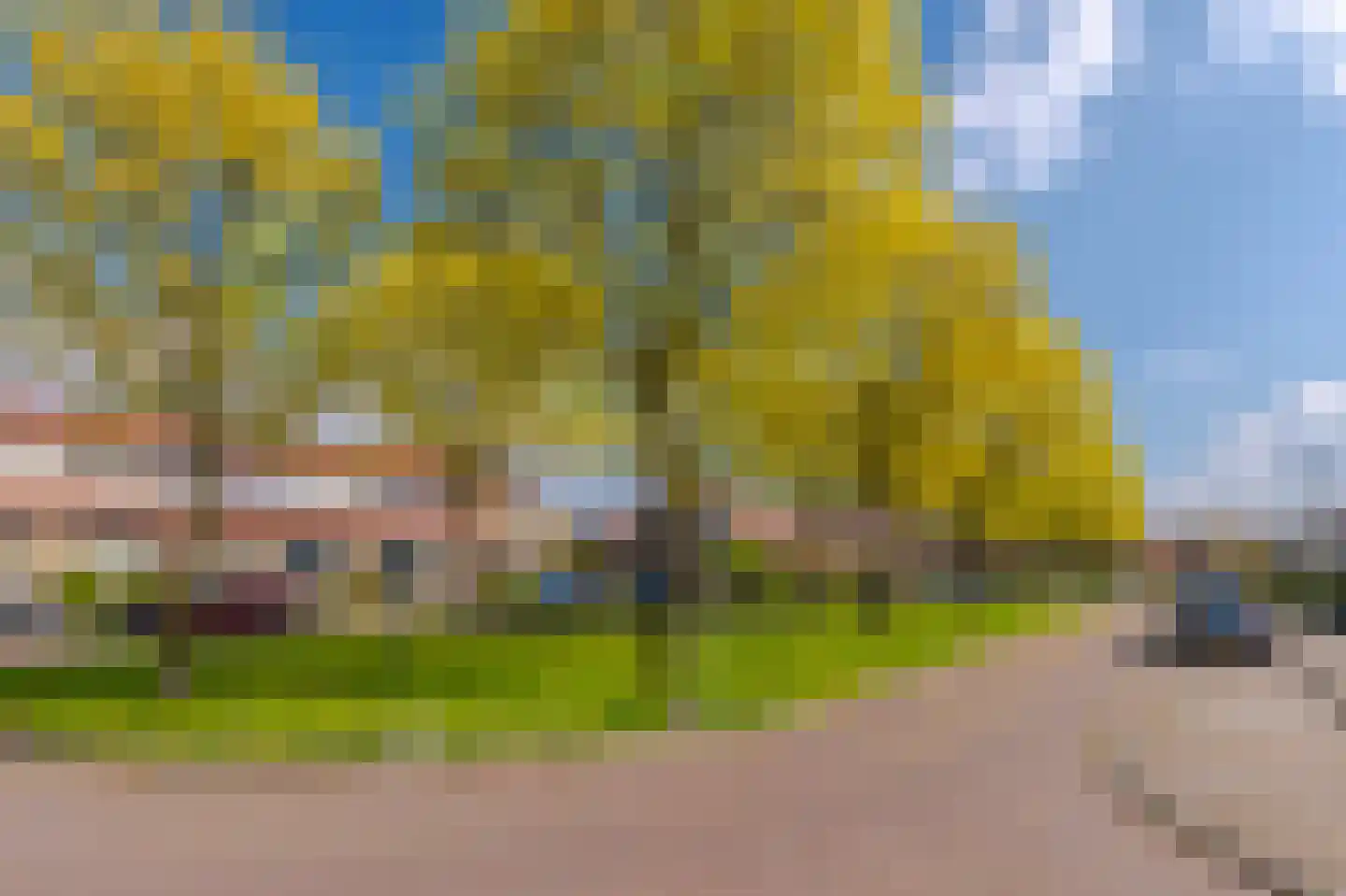 Het Gilde 70 Westervoort thumbnail 26
