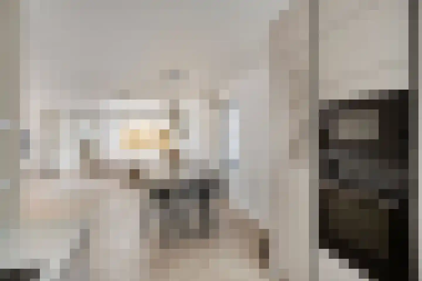 Het Gilde 74 Westervoort thumbnail 17