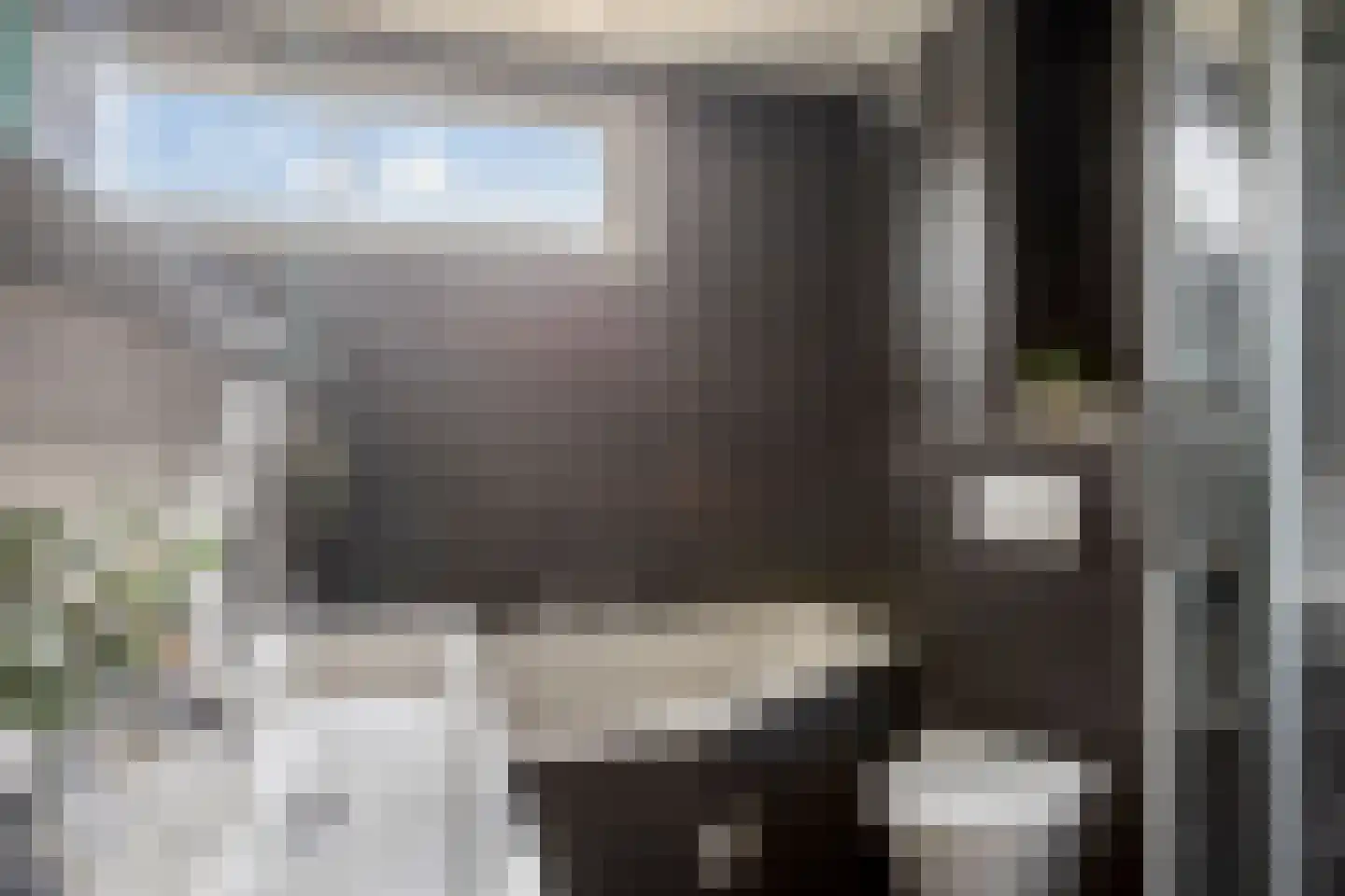 Het Gilde 74 Westervoort thumbnail 25