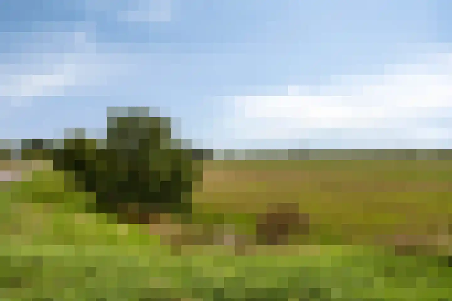 Het Gilde 74 Westervoort thumbnail 32