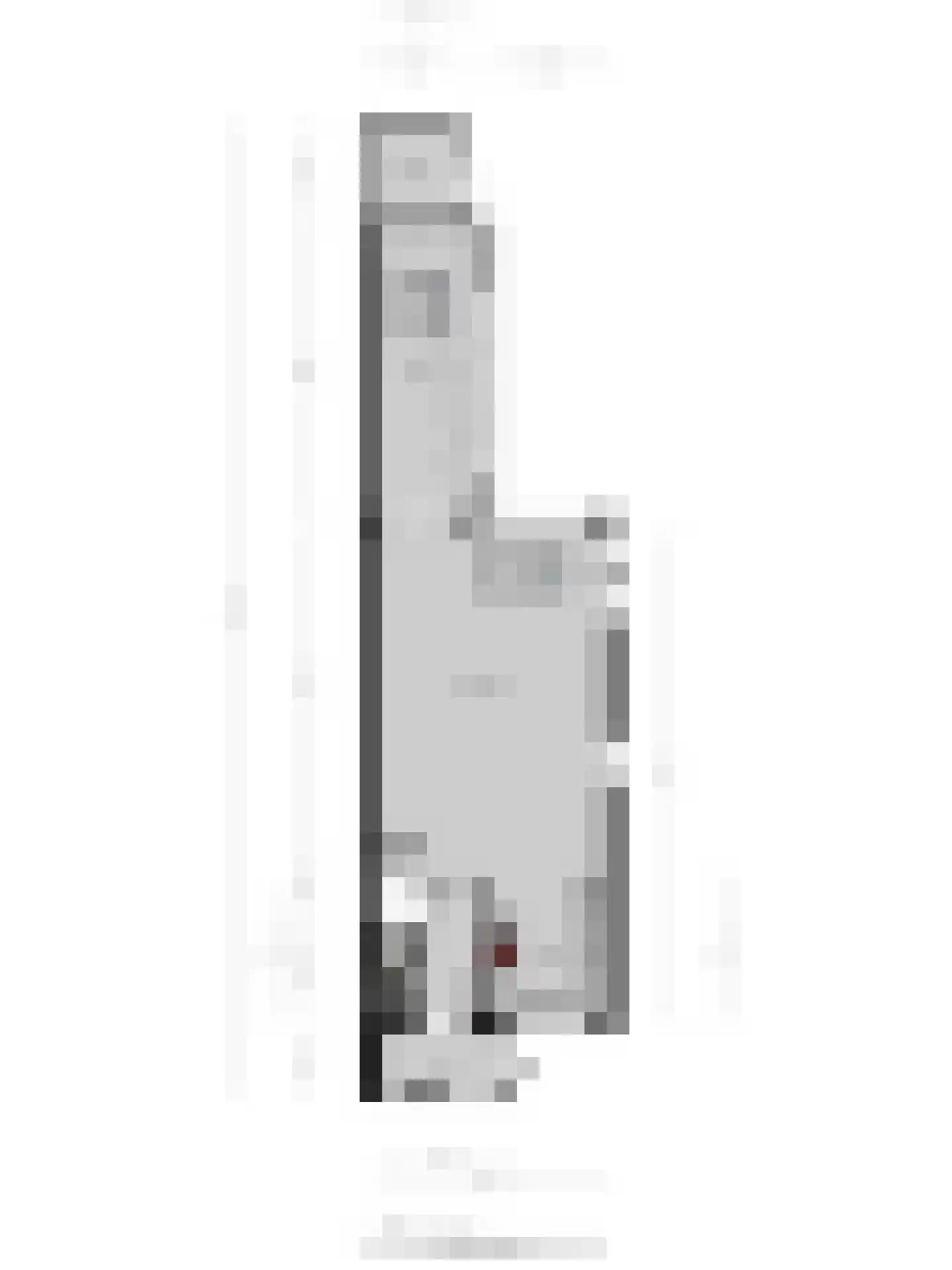 Het Gilde 74 Westervoort thumbnail 34