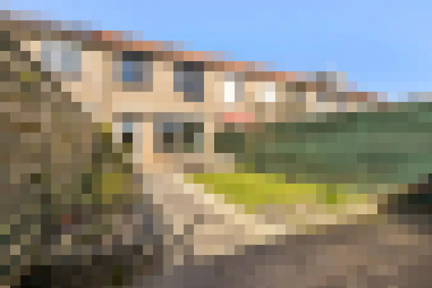 Het Gilde 9 Westervoort thumbnail 22