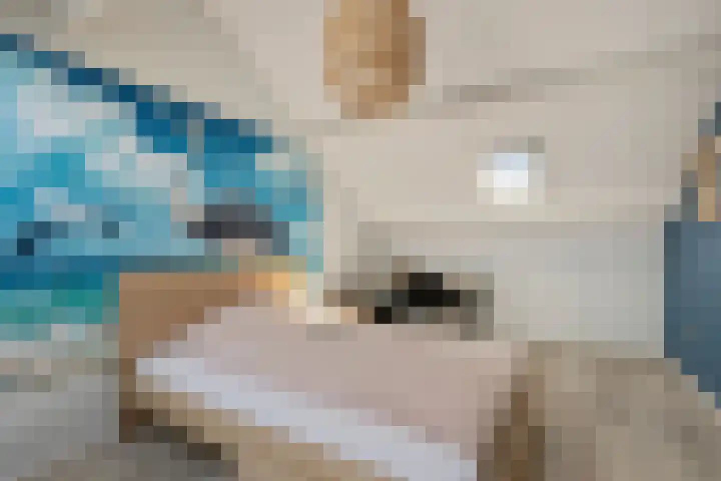 Het Gilde 9 Westervoort thumbnail 37