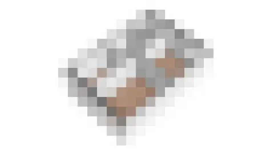 Het Gilde 9 Westervoort thumbnail 42