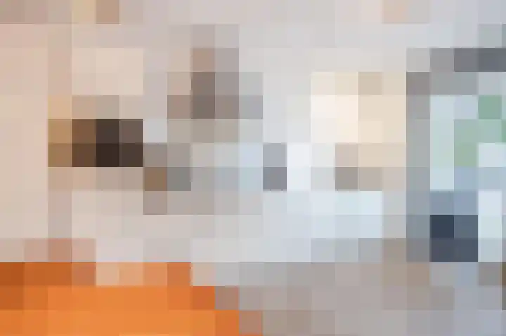 Het Glacis 14 Zutphen thumbnail 4