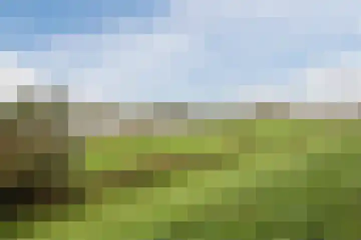 Het Glacis 14 Zutphen thumbnail 49