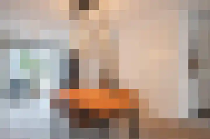 Het Glacis 14 Zutphen thumbnail 7