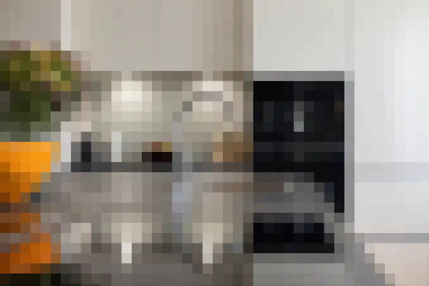 Het Glacis 73 Zutphen thumbnail 33