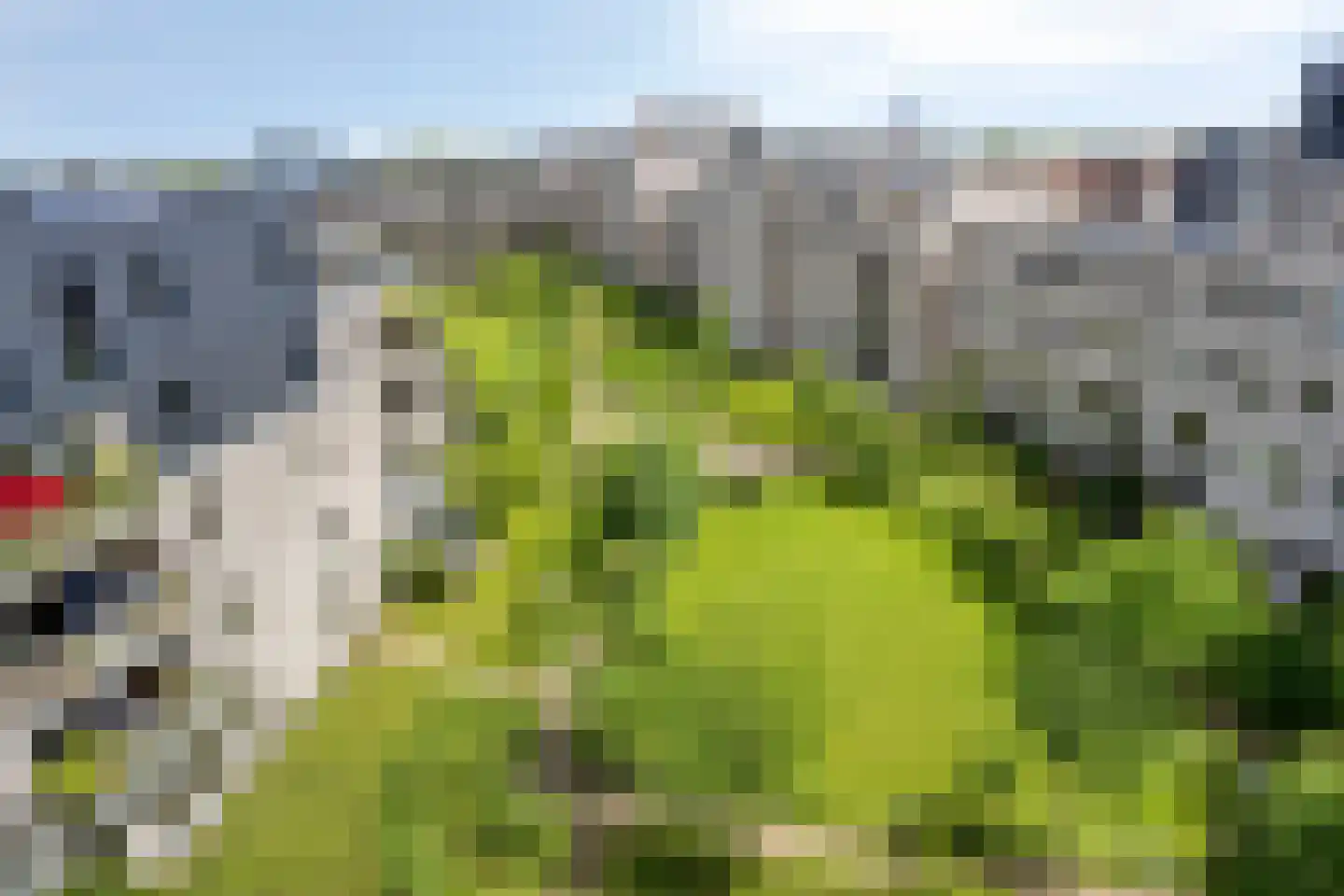 Het Glacis 73 Zutphen thumbnail 48