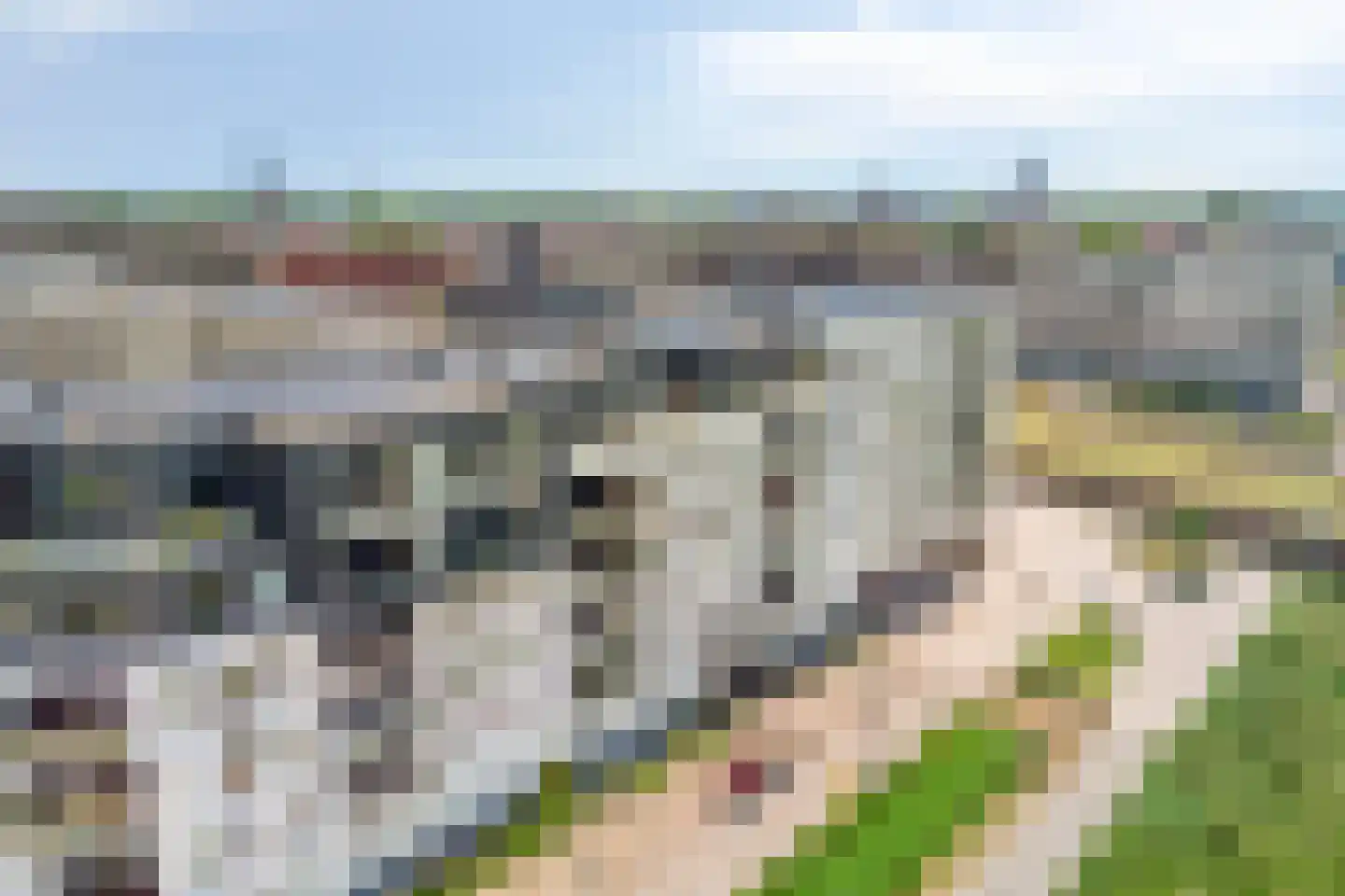 Het Glacis 73 Zutphen thumbnail 63