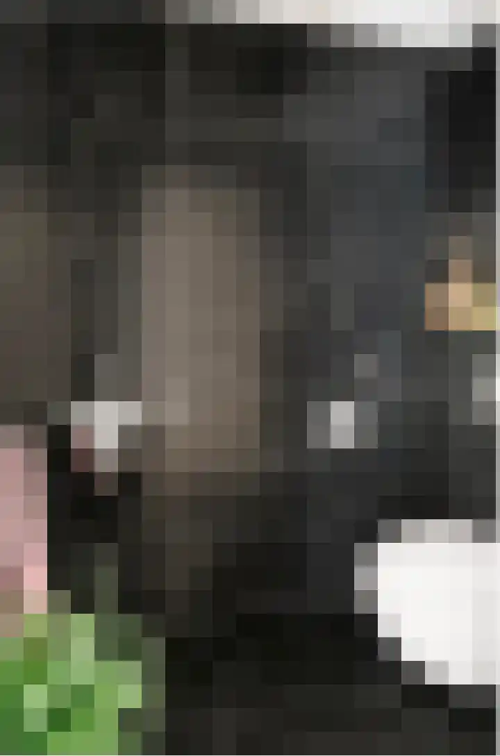 Het Glacis 93 Zutphen thumbnail 24